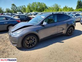 Tesla Model Y 2020