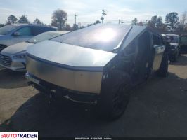 Tesla Pozostałe 2025