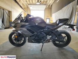 Kawasaki Pozostałe 2021 Kawasaki Pozostałe 2021