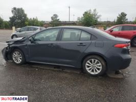 Toyota Corolla 2024 2