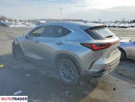 Lexus NX 2024 2