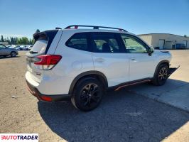 Subaru Forester 2024 2