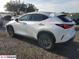 Lexus NX 2024 2