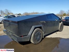 Tesla Pozostałe 2025