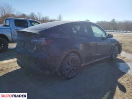 Tesla Model Y 2025