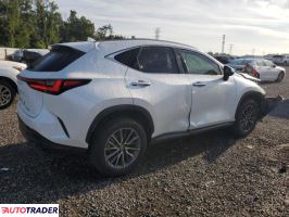 Lexus NX 2024 2