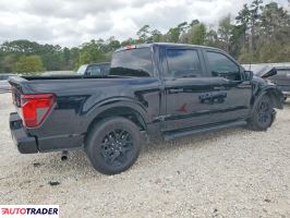 Ford Pozostałe 2024 2