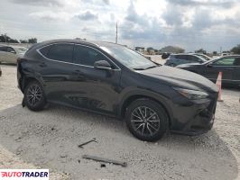 Lexus NX 2022 2