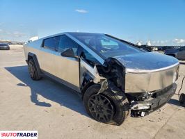 Tesla Pozostałe 2024