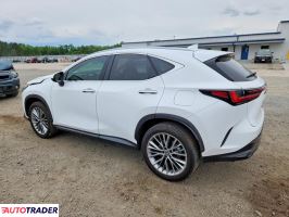Lexus NX 2026 2