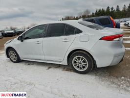 Toyota Corolla 2023 1