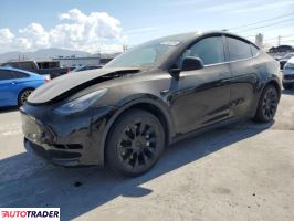Tesla Model Y 2021 Tesla Model Y 2021