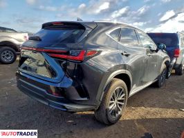 Lexus NX 2022 2