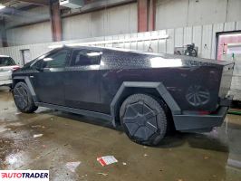 Tesla Pozostałe 2024