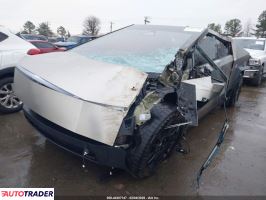 Tesla Pozostałe 2024