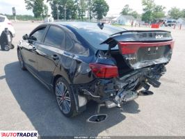 Kia Pozostałe 2024 1