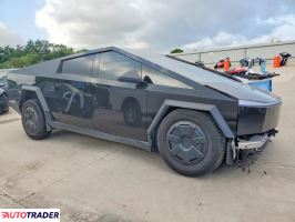 Tesla Pozostałe 2024