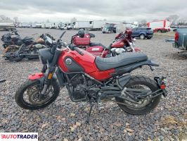 Benelli Leoncino 2022