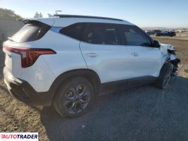 Kia Pozostałe 2024 2 Kia Pozostałe 2024 2