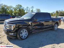 Ford Pozostałe 2024 3