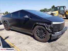 Tesla Pozostałe 2024