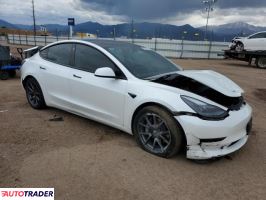 Tesla Model 3 2021 Tesla Model 3 2021