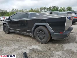Tesla Pozostałe 2024