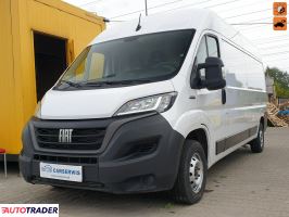 Fiat Ducato - zobacz ofertę