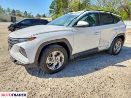 Hyundai Tucson 2024 2