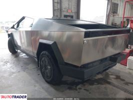 Tesla Pozostałe 2025