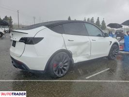 Tesla Model Y 2025