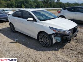 Kia Pozostałe 2024 2