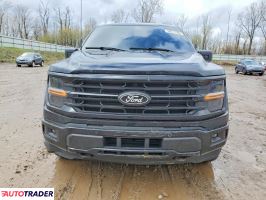 Ford Pozostałe 2024 3