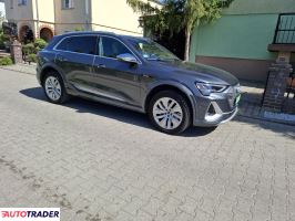 Audi E-tron 2022 0.1 503 KM Audi E-tron 2022 0.1 503 KM