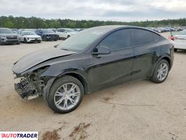 Tesla Model Y 2024