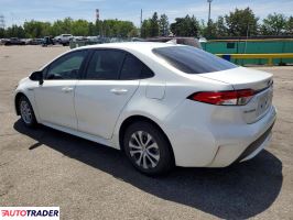 Toyota Corolla 2020 1