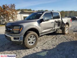 Ford Pozostałe 2024 2