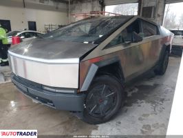 Tesla Pozostałe 2025