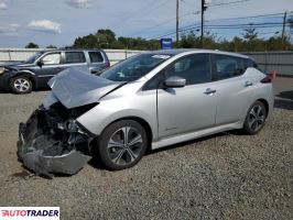 Nissan Leaf 2019