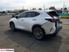 Lexus NX 2024 2