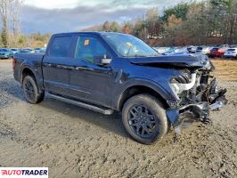 Ford Pozostałe 2025 2