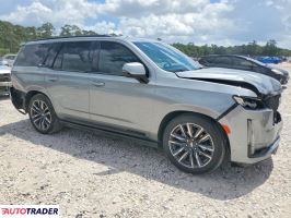 Cadillac Escalade 2024 6
