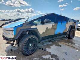 Tesla Pozostałe 2024