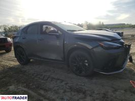 Lexus NX 2024 2