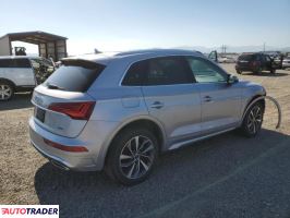 Audi Q5 2024 2