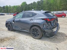 Lexus NX 2024 2