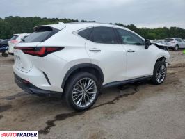 Lexus NX 2022 2 Lexus NX 2022 2