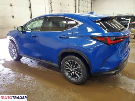 Lexus NX 2025 2