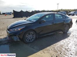 Kia Pozostałe 2024 2