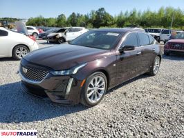 Cadillac Pozostałe 2020 2 Cadillac Pozostałe 2020 2
